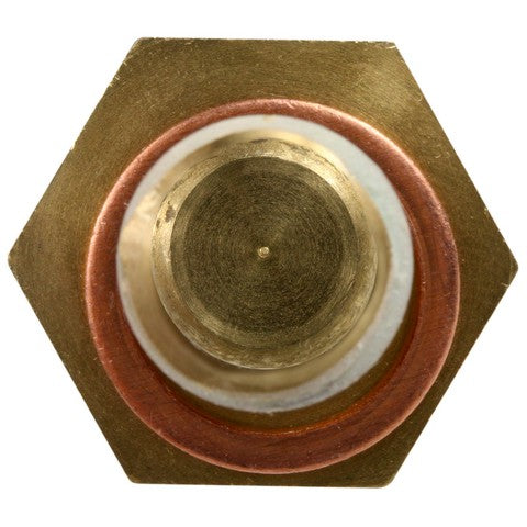 Engine Coolant Temperature Sensor WVE 5S1475