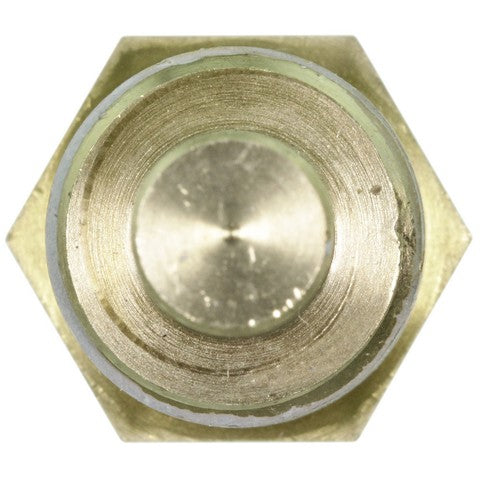 Engine Coolant Temperature Sensor WVE 5S1500