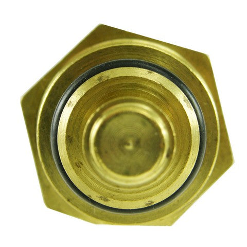 Engine Coolant Temperature Sensor WVE 5S1518