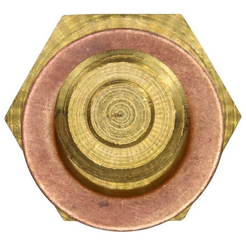 Engine Coolant Temperature Sensor WVE 5S1522