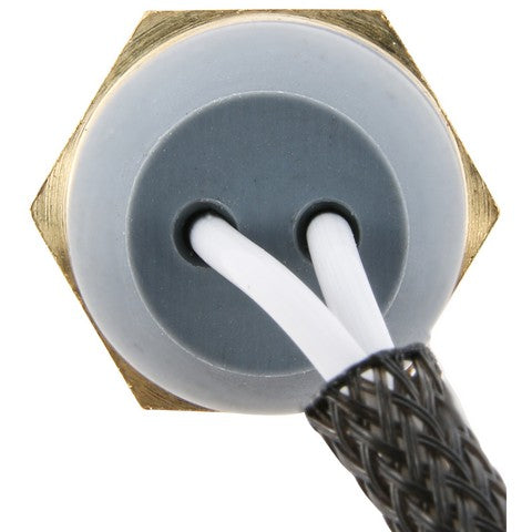 Engine Cylinder Head Temperature Sensor WVE 5S15299