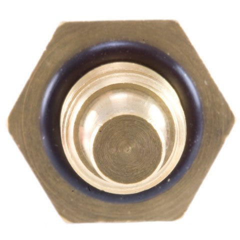 Engine Coolant Temperature Sensor WVE 5S1529