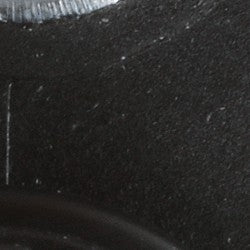 ABS Wheel Speed Sensor WVE 5S15625