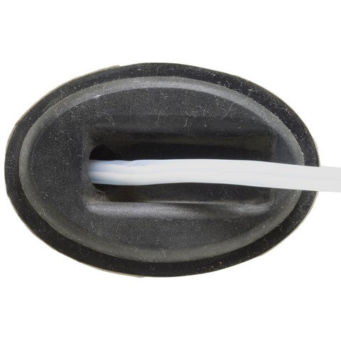 Engine Cylinder Head Temperature Sensor WVE 5S1562