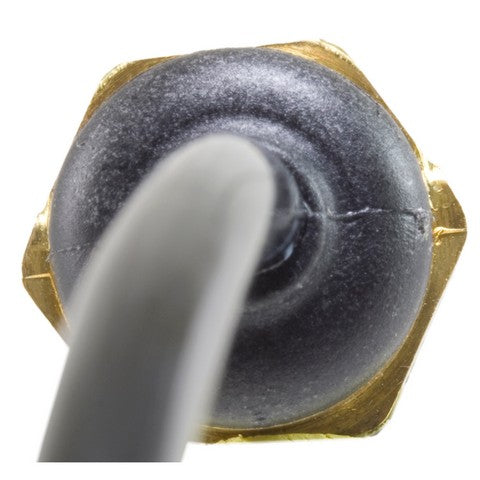 Engine Coolant Temperature Sensor WVE 5S1619