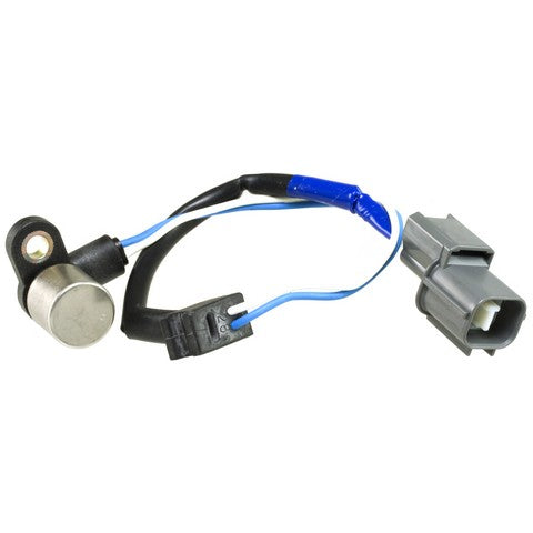Engine Crankshaft Position Sensor WVE 5S1631