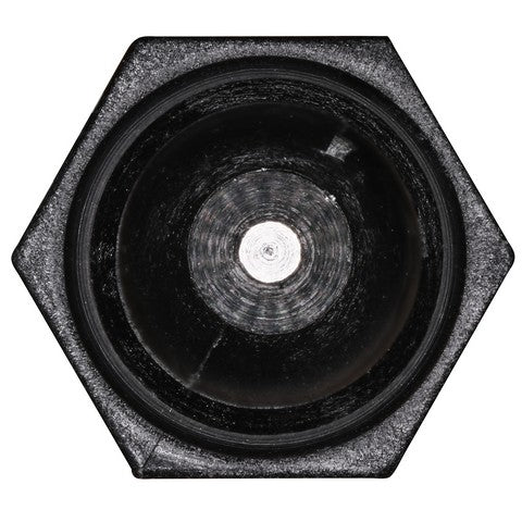 Water In Fuel (WiF) Sensor WVE 5S16524