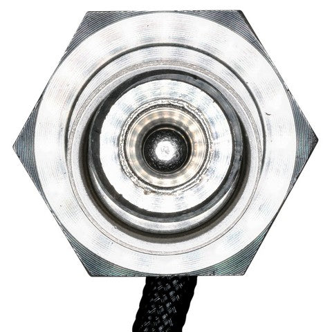 Exhaust Gas Temperature (EGT) Sensor WVE 5S17503