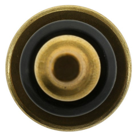 Engine Coolant Temperature Sensor WVE 5S17565