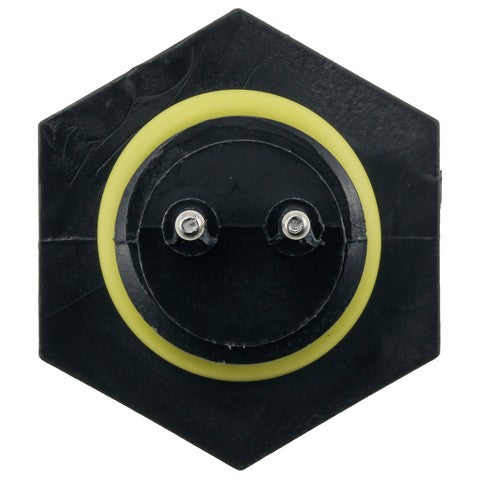 Water In Fuel (WiF) Sensor WVE 5S17613