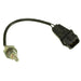 Exhaust Gas Recirculation (EGR) Valve Temperature Sensor WVE 5S2032