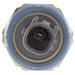 Ignition Knock (Detonation) Sensor WVE 5S2251