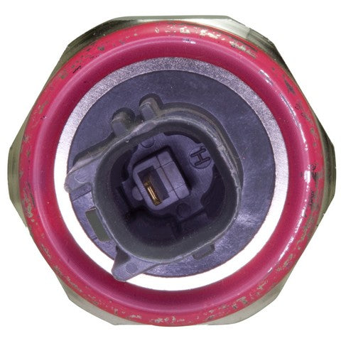 Ignition Knock (Detonation) Sensor WVE 5S2256