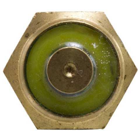 Engine Coolant Temperature Switch WVE 5S6093