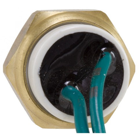 Engine Coolant Temperature Sensor WVE 5S6094