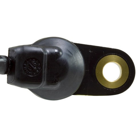 Automatic Transmission Fluid Temperature Sensor WVE 5S6291