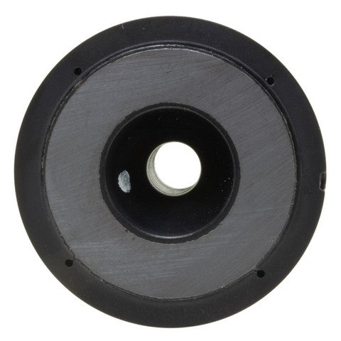 Engine Variable Valve Timing (VVT) Adjuster Magnet WVE 5S7062