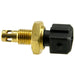 Air Charge Temperature Sensor WVE 5S7168