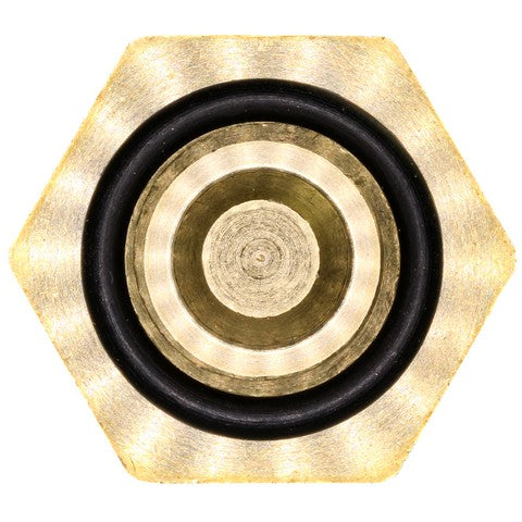 Engine Coolant Temperature Sensor WVE 5S8971