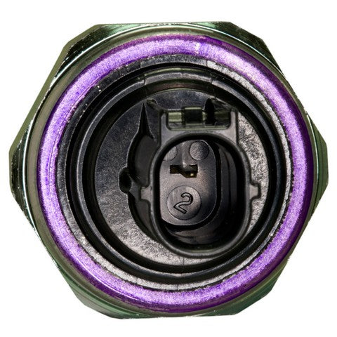 Ignition Knock (Detonation) Sensor WVE 5S9089
