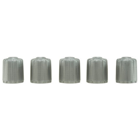 Tire Pressure Monitoring System (TPMS) Valve Stem Cap WVE 5S9538