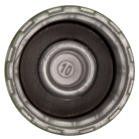 Tire Pressure Monitoring System (TPMS) Valve Stem Cap WVE 5S9538