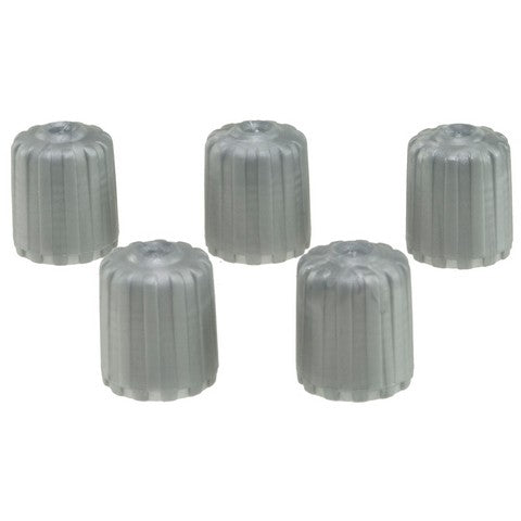 Tire Pressure Monitoring System (TPMS) Valve Stem Cap WVE 5S9538