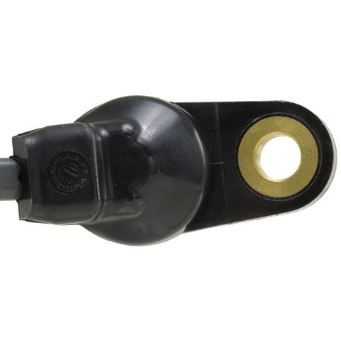 Automatic Transmission Fluid Temperature Sensor WVE 5S9600