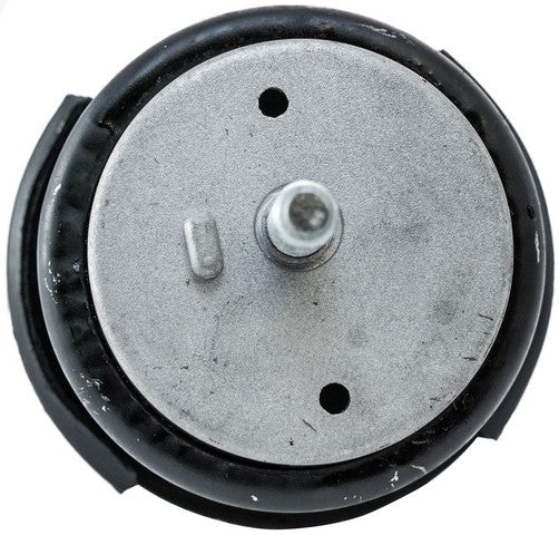 Engine Mount Pioneer 619859
