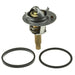 Engine Coolant Thermostat MotoRad 630-194