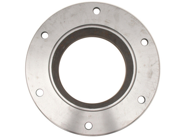 Disc Brake Rotor Raybestos Brakes 66202R