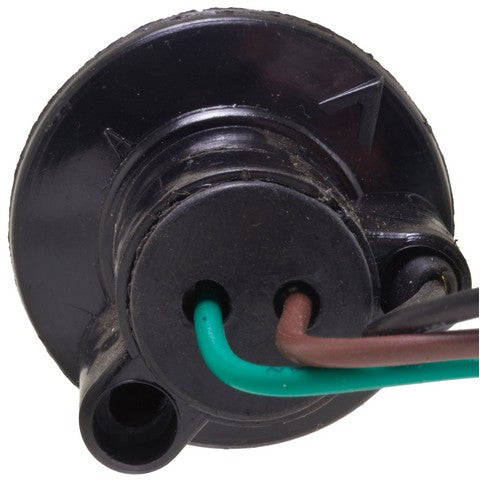 Tail Light Socket WVE 6S1008