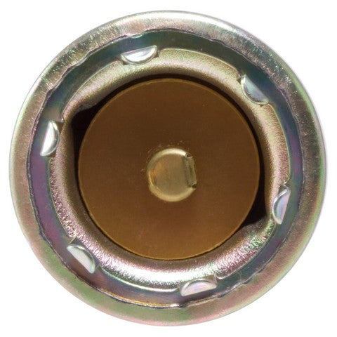 License Lamp Socket WVE 6S1018
