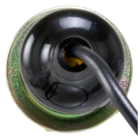 License Lamp Socket WVE 6S1018
