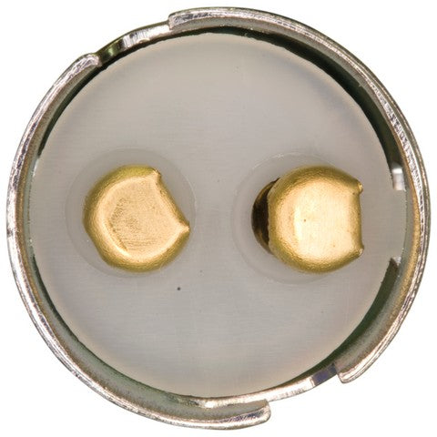 Combination Lamp Socket WVE 6S1019