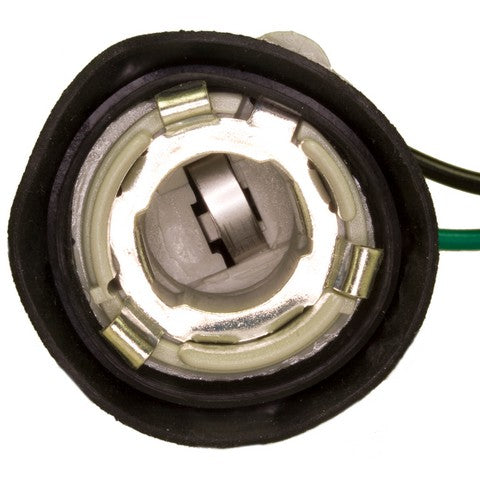 Back Up Light Socket WVE 6S1024
