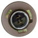 Tail Light Socket WVE 6S1025