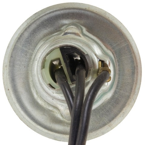Tail Light Socket WVE 6S1025