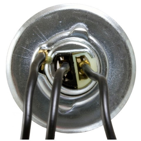 Tail Light Socket WVE 6S1026