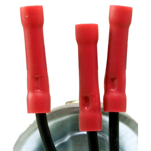 Tail Light Socket WVE 6S1026