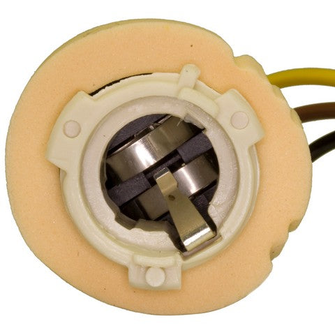 Parking Light Bulb Socket WVE 6S1028