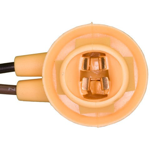 Side Marker Light Socket WVE 6S1032