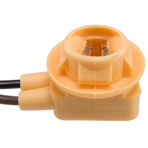 Side Marker Light Socket WVE 6S1032