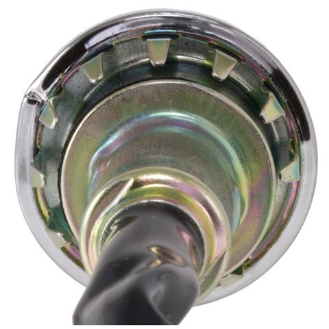 License Lamp Socket WVE 6S1034
