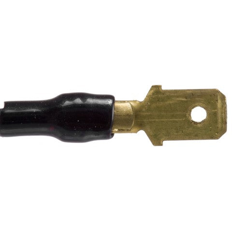 License Lamp Socket WVE 6S1034