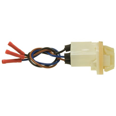 Tail Light Socket WVE 6S1038