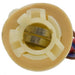 Tail Light Socket WVE 6S1038