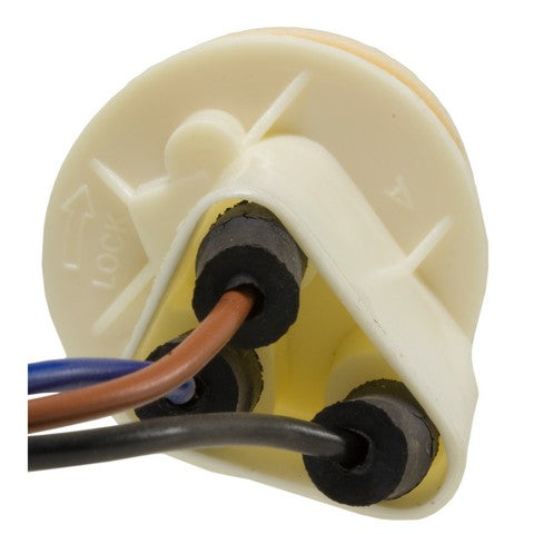 Tail Light Socket WVE 6S1038