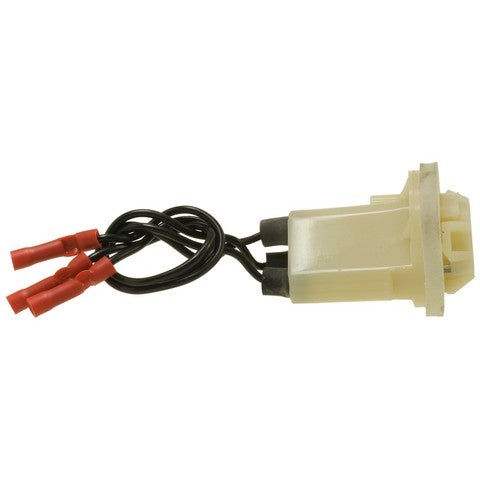 Parking Light Bulb Socket WVE 6S1039