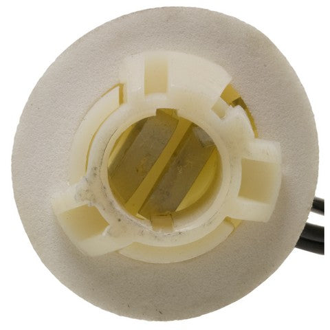 Parking Light Bulb Socket WVE 6S1039
